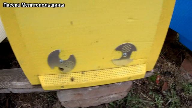 Клюют ли синички улья из ЭППС смотреть онлайн