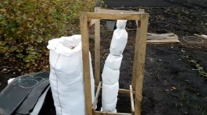 Как Укрыть Инжир на Зиму