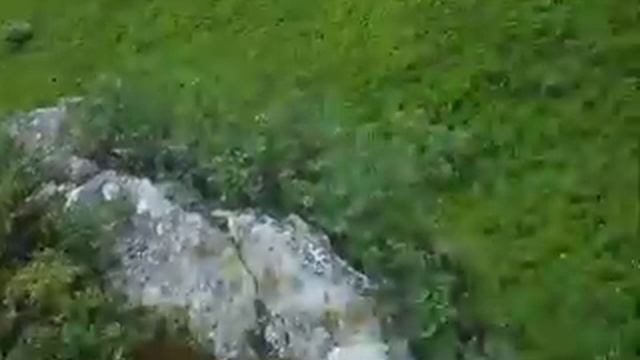 Подорож в Карпатах (гора Остра) смотреть онлайн