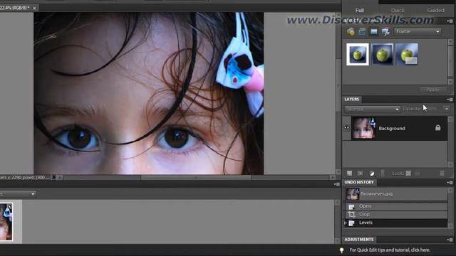 Photoshop Elements Side Panels - How to use them - DiscoverSkills.com смотреть онлайн