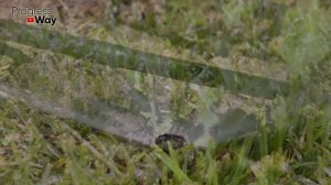 Что Лучше Капельная Лента или Трубка (КАПЕЛЬНЫЙ ПОЛИВ)