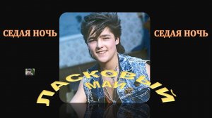 СЕДАЯ НОЧЬ. ЮРИЙ ШАТУНОВ.