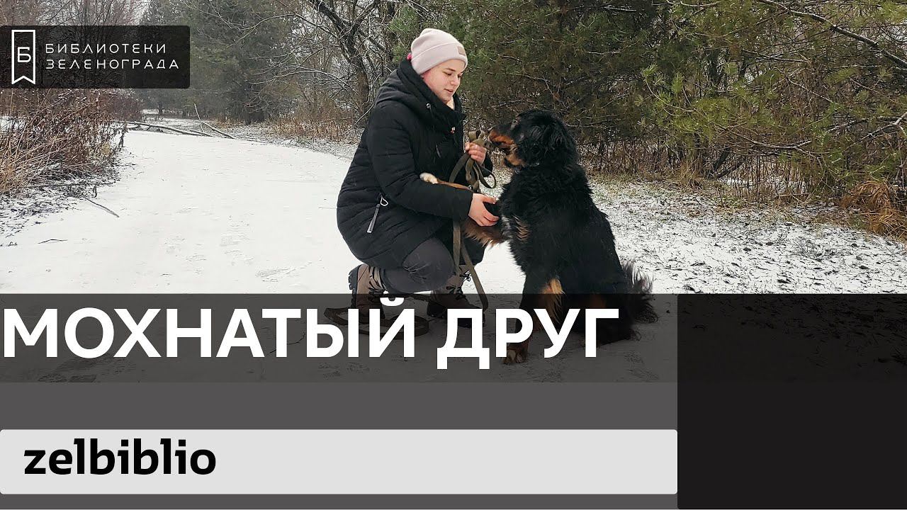 Мохнатый друг @zelbiblio смотреть онлайн