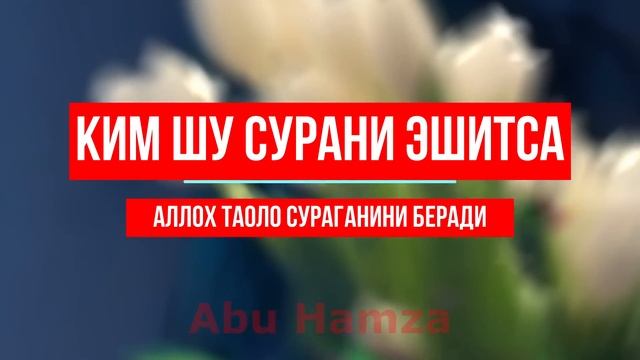 УШБУ СУРАНИ ХАР КУНИ УҚИНГ ЁКИ ЭШИТИНГ Кучли дуо, суралар смотреть онлайн