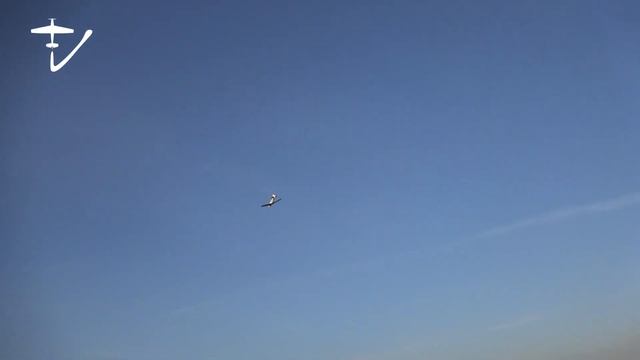 Zlin Z-526F barrel roll смотреть онлайн