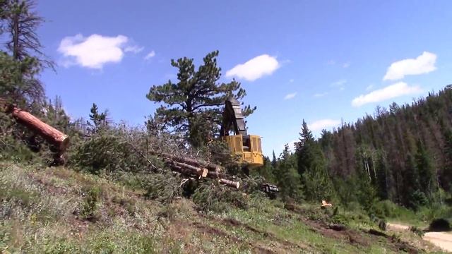 Tigercat LX830C Feller Buncher смотреть онлайн