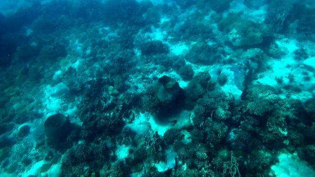 Ко Чанг #6 Едем на экскурсию на лодке. Четыре острова за день? смотреть онлайн