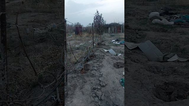 Капельный полив на даче для виноградника и деревьев . смотреть онлайн