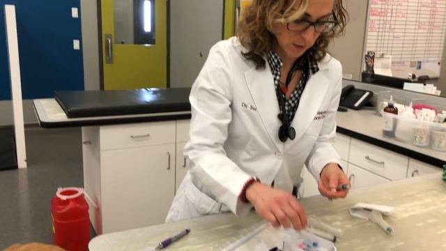 Lymph Node Aspirate in a Dog смотреть онлайн
