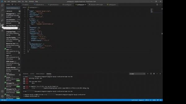 Visual Studio Code Console - npm run script error. "missing script"