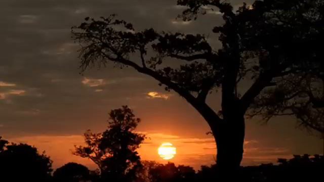 Tracy Chapman - The Promise смотреть онлайн