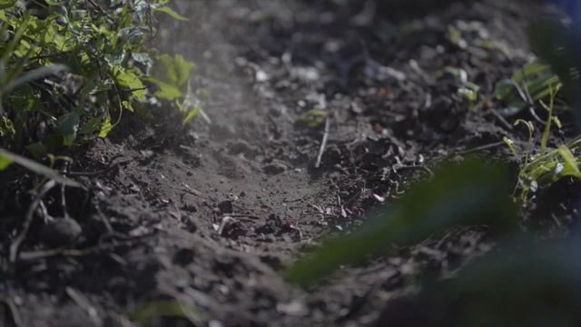 JagersTV Afl. 11 - Weidevogels in Het Lierderbroek, ingezaaide akkerranden en vossenval plaatsen смотреть онлайн