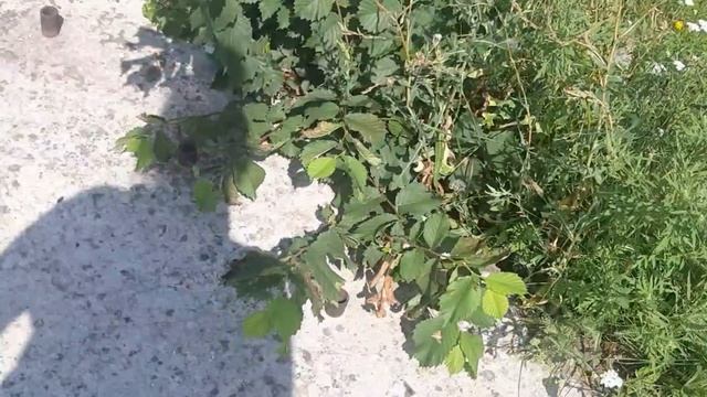 #Сегодня Заблудились в Днепре/Аэропорт, Кайдаки/Когда приехали и началось... смотреть онлайн