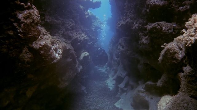 West Coast Sardinia Scuba Diving - Torre del Pozzo 2022 смотреть онлайн