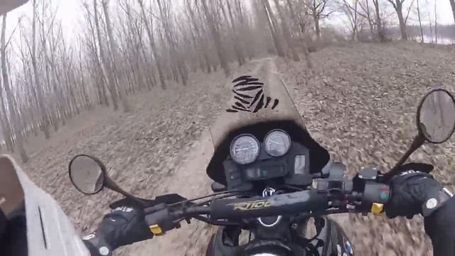 Ride In The Woods Bmw R 1100 GS Motoride#6