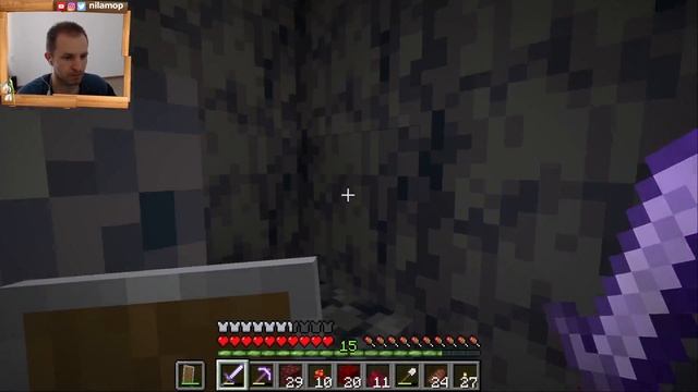 НОВАЯ ЯЧЕЙКА ОБЩЕСТВА, СЕМЬЯ СТРАЙДЕРОВ (ЛАВОМЕРКИНЫХ) В МАЙНКРАФТ | MINECRAFT #81 смотреть онлайн
