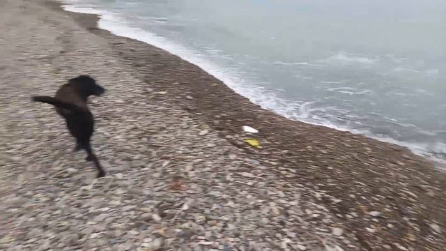 16.02.2024 Архипо-Осиповка. Погуляем по берегу с эфиром минут 10 смотреть онлайн