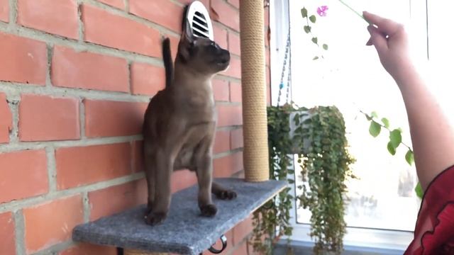 26 октября 2023 г. смотреть онлайн