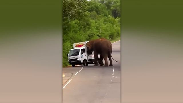 НЕВЕРОЯТНЫЕ МОМЕНТЫ НА ДОРОГАХ, СНЯТЫЕ НА КАМЕРУ смотреть онлайн