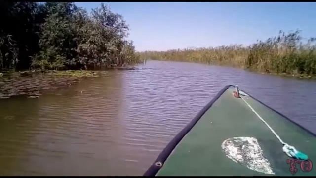 ПРОГУЛКА К ЛОТОСНЫМ ПОЛЯМ, БАЗА ОТДЫХА FISH CLUB смотреть онлайн