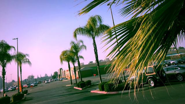 [FREE] Westcoast X Db boutabag X Bris Prod.RatchetClank смотреть онлайн