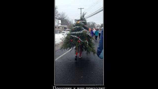 2016  январь приколы   юмор смешные фото демы подарки  fun humor funny Ржач под столом