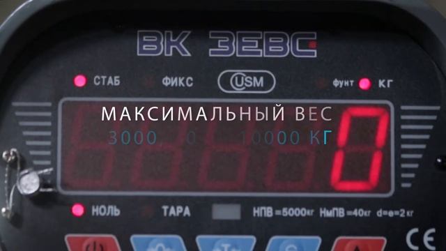 Весы крановые ВК ЗЕВС ІІІ на 10000 кг смотреть онлайн