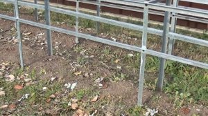 Как обрезать ремонтантную малину осенью. Подготовка малины к зиме.