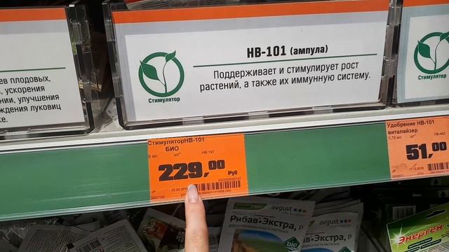 OBI ванды почти даром, зигапиталум 170р/орхидеи Краснодар смотреть онлайн