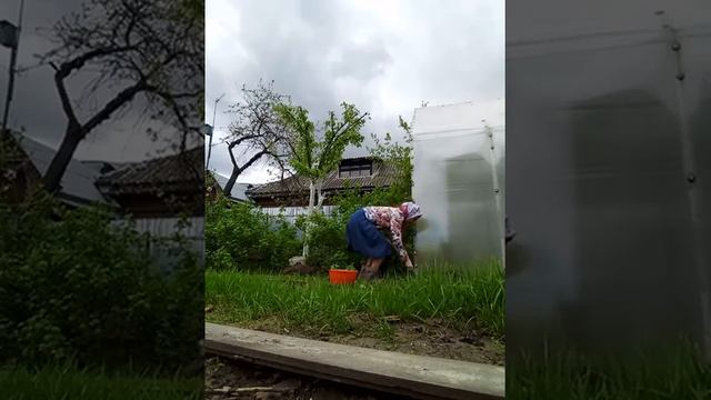 Что бывает на огороде смотреть онлайн