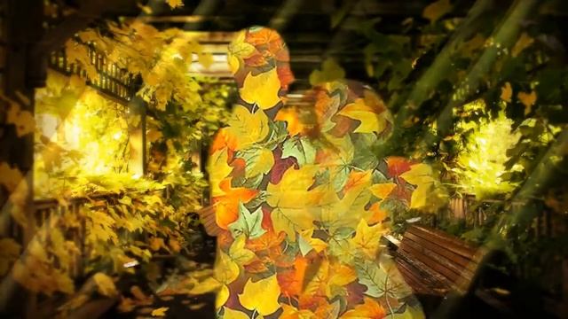 Кружились в вальсе мы с тобой (романс) Поёт Алексей Бочаров смотреть онлайн