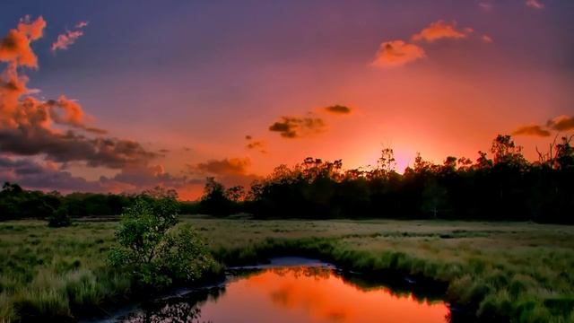 ОЧЕНЬ КРАСИВАЯ МУЗЫКА Эти завораживающие мелодии дарят умиротворение, любовь и умиротворение, вдохно смотреть онлайн