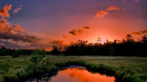 ОЧЕНЬ КРАСИВАЯ МУЗЫКА Эти завораживающие мелодии дарят умиротворение, любовь и умиротворение, вдохно