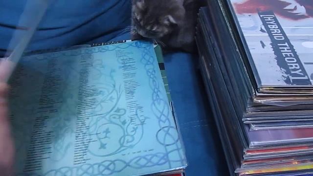 Виниловые пластинки(Моя коллекция.Часть 3) смотреть онлайн
