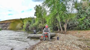 ЗАКИНУЛ "ЯЙЦА" И...! НЕ ОЖИДАЛ ЕГО! Рыбалка на Волге.