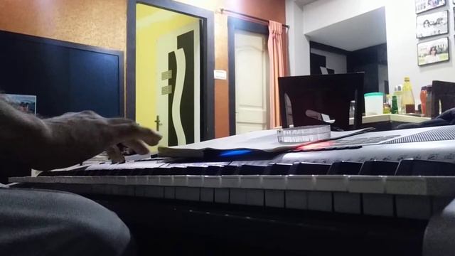 Chookar mere man Ko, keyboard смотреть онлайн
