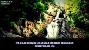 Омар Хишам (Omar Hisham).Сура  аль-Имран  (169-175). HD