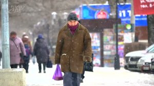 На Госуслугах заработал сервис для проведения общих собраний в СНТ