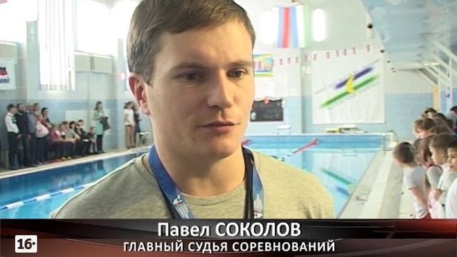 Первенство района по плаванию смотреть онлайн