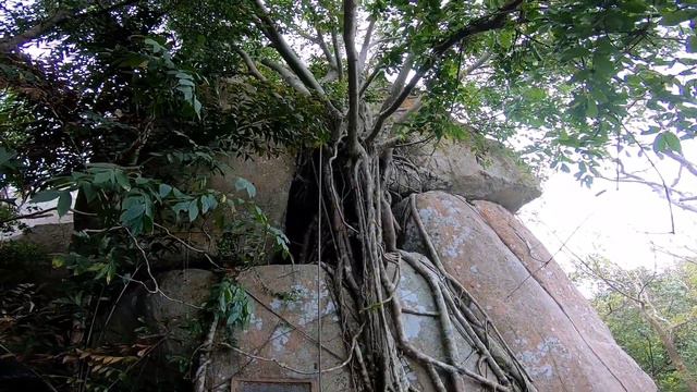 Двухколёсные бомжи. Reunion смотреть онлайн