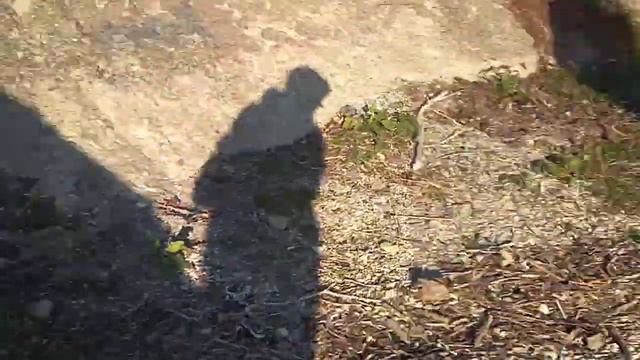 вторая часть отдых в абрау-дюрсо на озере смотреть онлайн