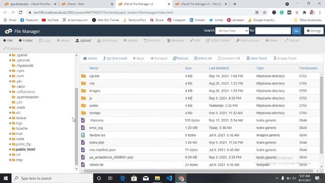 How To Upload A Laravel Project To Cpanel The Laravel Way смотреть онлайн