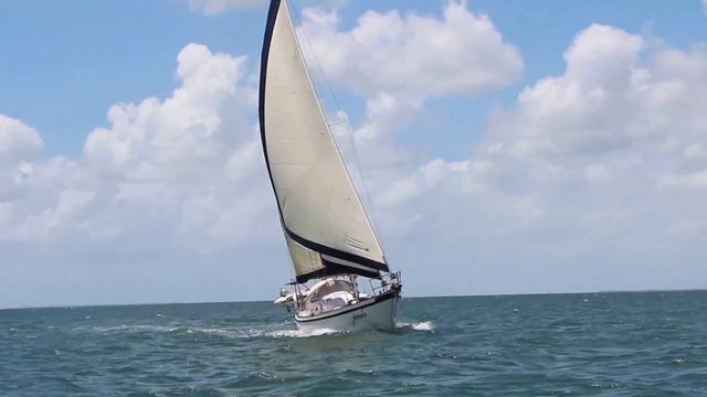 Tradewinds 35 Cutter sailing on Moreton Bay смотреть онлайн