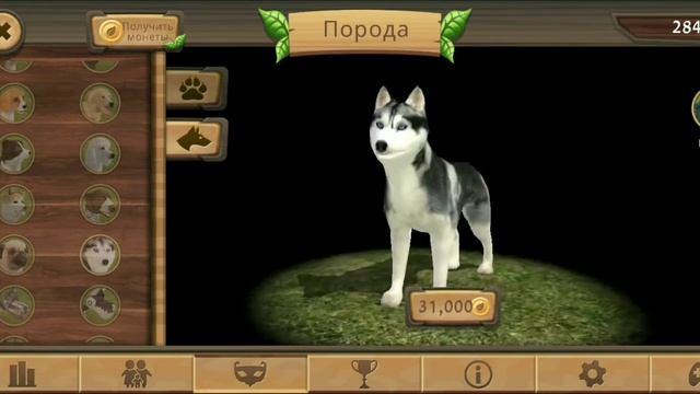 Симулятор собаки онлайн. dog sim смотреть онлайн