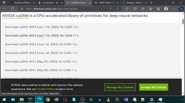 Installing Face Fusion on Windows