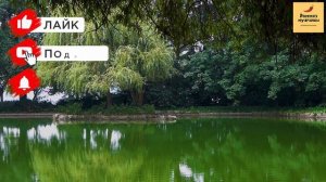 Рассказ мужчины | Измена жены. Поймал на квартире с любовником. Зверская месть мужа. История