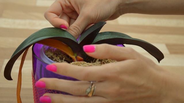 ОРХИДЕИ ЖЕЛТЕЮТ ЛИСТЬЯ ЧТО ДЕЛАТЬ смотреть онлайн