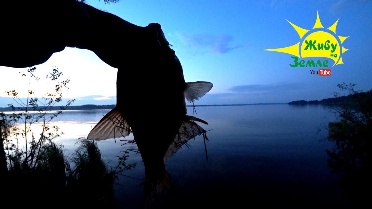 3 дня и 2 НОЧИ в ЛЕСУ. Рыбалка на ДОНКИ. Хитрый подход к ловле ЛЕЩА. Жизнь в палатке - всё ОГОНЬ смотреть онлайн