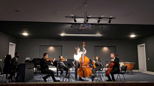 Johann Baptist Vanhal - Concerto for Double Bass, Allegro Moderato - Hoshmand Samir Murshid смотреть онлайн