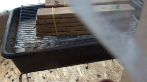 Разведение черной львинки.